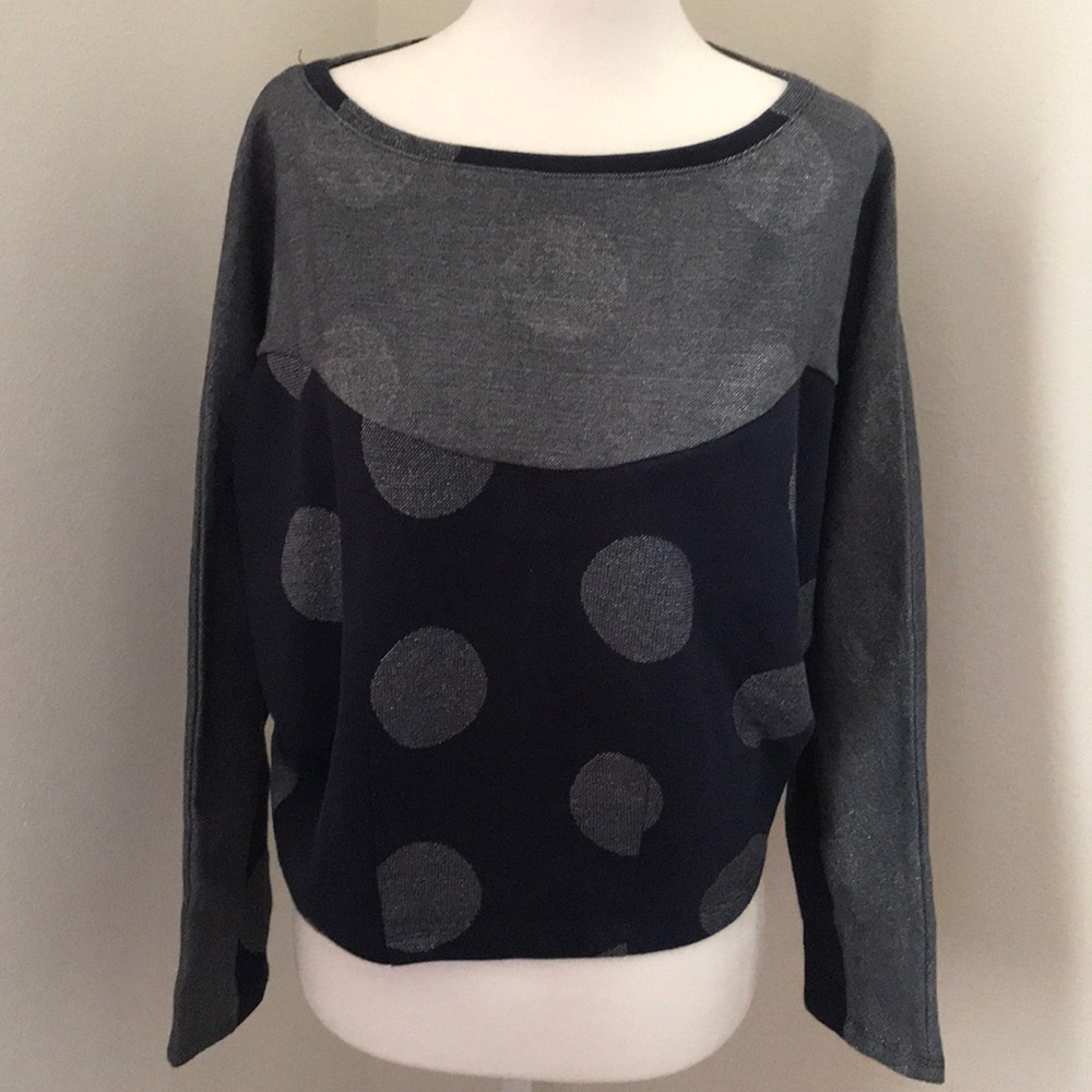 Metallic Dot Sweatshirt Anthropologie